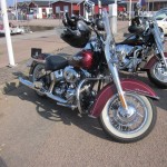 Harley Davidson softail