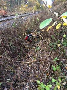 Bike in the ditch